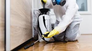 Real Estate Pest Inspections in Denton, TX